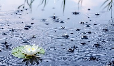 Is Precipitation The Source Of All Fresh Water On Earth?