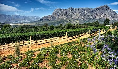 What Are The Major Natural Resources Of South Africa?