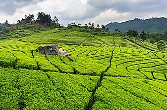 The Biggest Industries In Indonesia