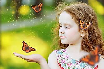 Here's What Would Happen If All The Insects Disappeared