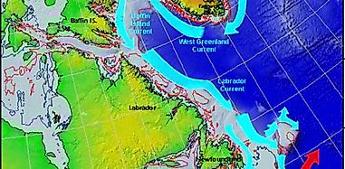 What And Where Is The Labrador Current?