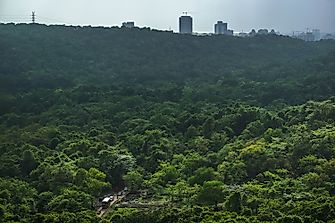10 Largest Urban Parks In The World