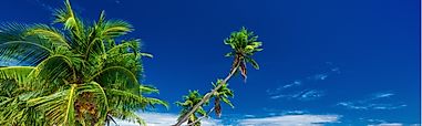 Fiji