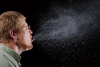 Why Do We Sneeze?