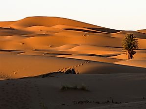 Where Does The Sahara Desert Lie?