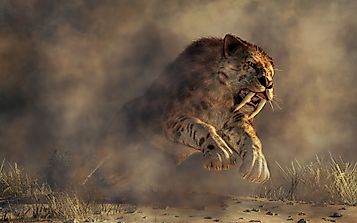 When Is A Species Declared To Be Functionally Extinct?