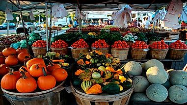 Top 20 Agricultural Commodities Of Virginia