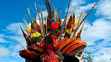 Ceremonial Headdresses Threaten Vulnerable Parrot Species