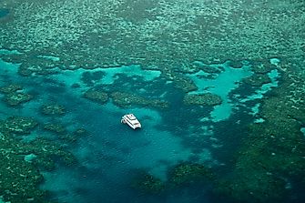10 Ways To Save The Great Barrier Reef