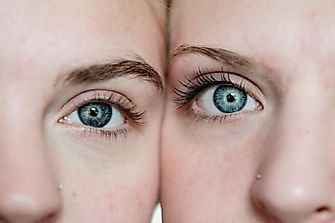 Why Do We Have Eyebrows?