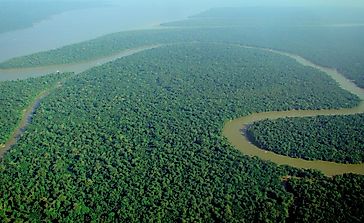 Countries Sharing The Amazon Rainforest