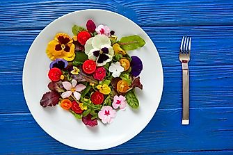 What Do Edible Flowers Taste Like?