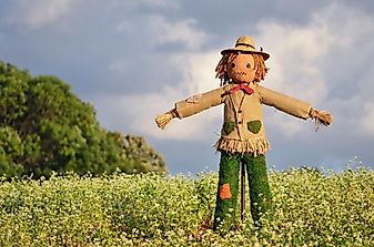 What Is A Straw Man Argument?