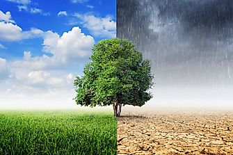What Is The Difference Between Weather And Climate?