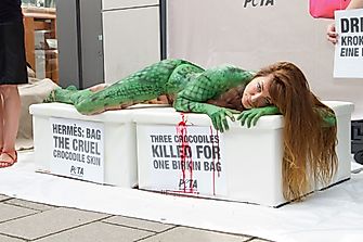 What is PETA?