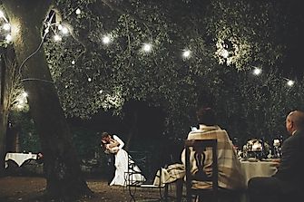 10 Ways To Make A Beautiful Backyard Wedding On A Budget