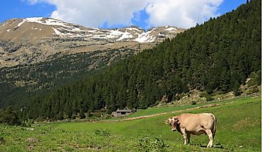 What Are The Major Natural Resources Of Andorra?