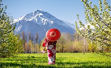 Top 10 Interesting Facts About Japan