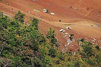 Why Is Deforestation Such A Serious Problem?