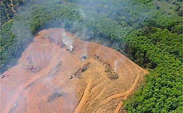 Can A Rainforest Catch Fire?