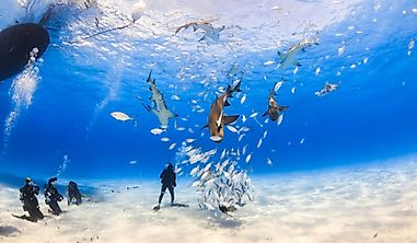 What Are The Biggest Industries In The Bahamas?
