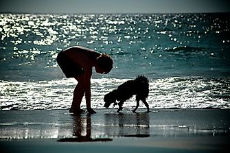 What Is Beachcombing?
