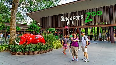 Top 10 Zoos To Visit That Won't Make You Feel Guilty