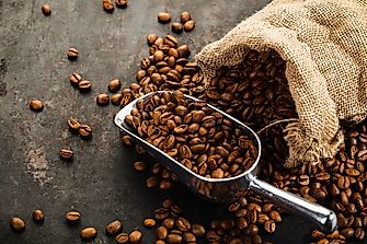 Top Coffee Producing Countries