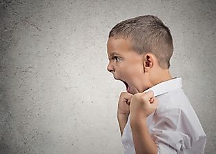 What Is The Bobo Doll Experiment?