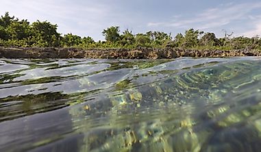 What Are The Major Natural Resources Of The Bahamas?