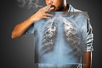 Cancers With The Highest Mortality Rates
