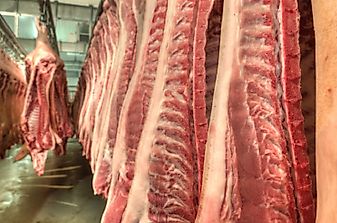All About The Pork Industry