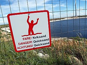 How To Get Out Of Quicksand