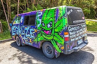Marijuana Use By Region Of The World