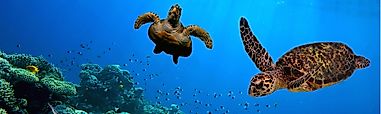Barbados