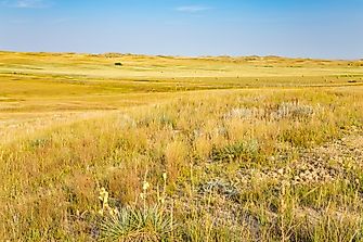 The Largest National Grasslands In The United States