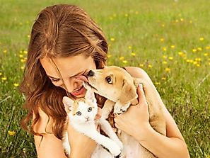 The Most Popular Animals Owned As Pets In The US