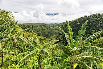 What Are The Biggest Industries In Saint Lucia?
