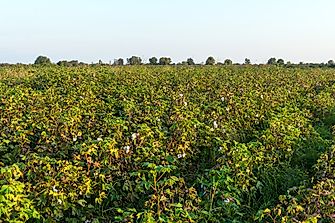 What Are The Major Natural Resources Of Azerbaijan?