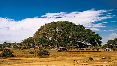 What Are The Major Natural Resources Of Eritrea?