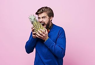 Can Pineapples Eat You Too? Facts About The Carnivorous Fruit