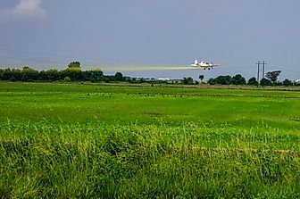 The Leading Rice Growing States In The United States