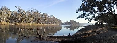 The Murray River