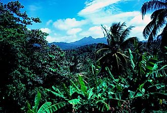 What Are the Major Natural Resources of Dominica?