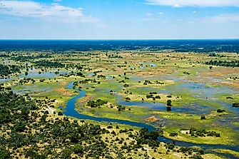 The Okavango Delta Of Botswana