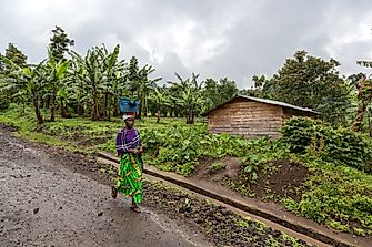 The Culture Of The Democratic Republic of the Congo