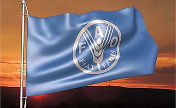 What Is The Function Of The FAO (Food And Agricultural Organization)?
