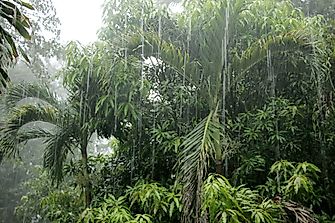 What Type Of Climate Does Cambodia Have?