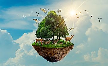 What Is The Goal Of Wildlife Conservation?