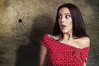 What Is The Most Common Phobia In The World?